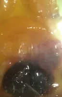 Bande fruit