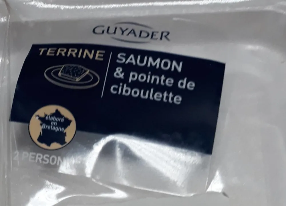 Terrine saumon pointe de ciboulette
