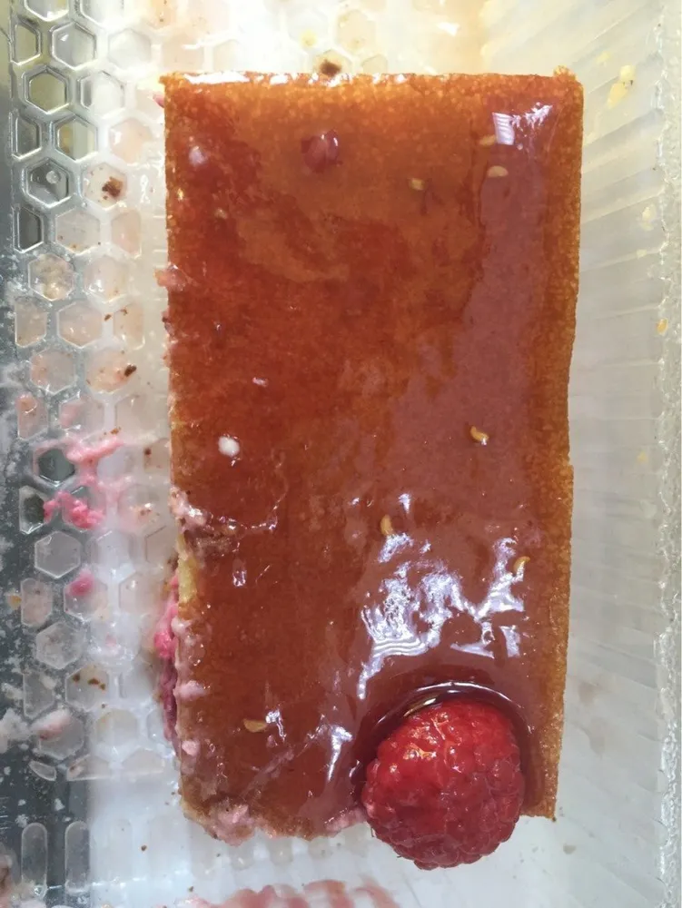 Framboisierx2