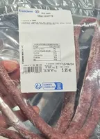 Saucissette