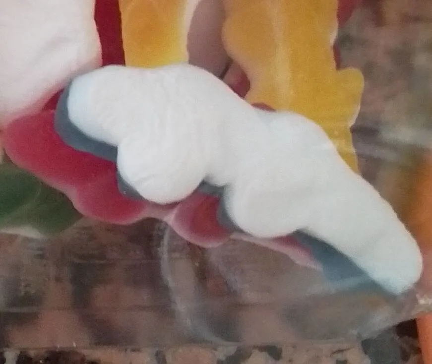 Crocodiles haribo