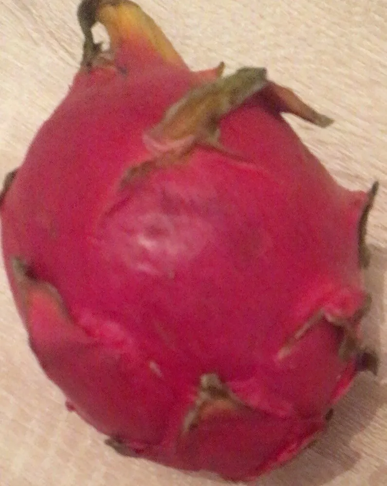 Fruit du dragon