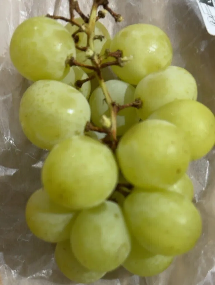 Raisin blanc