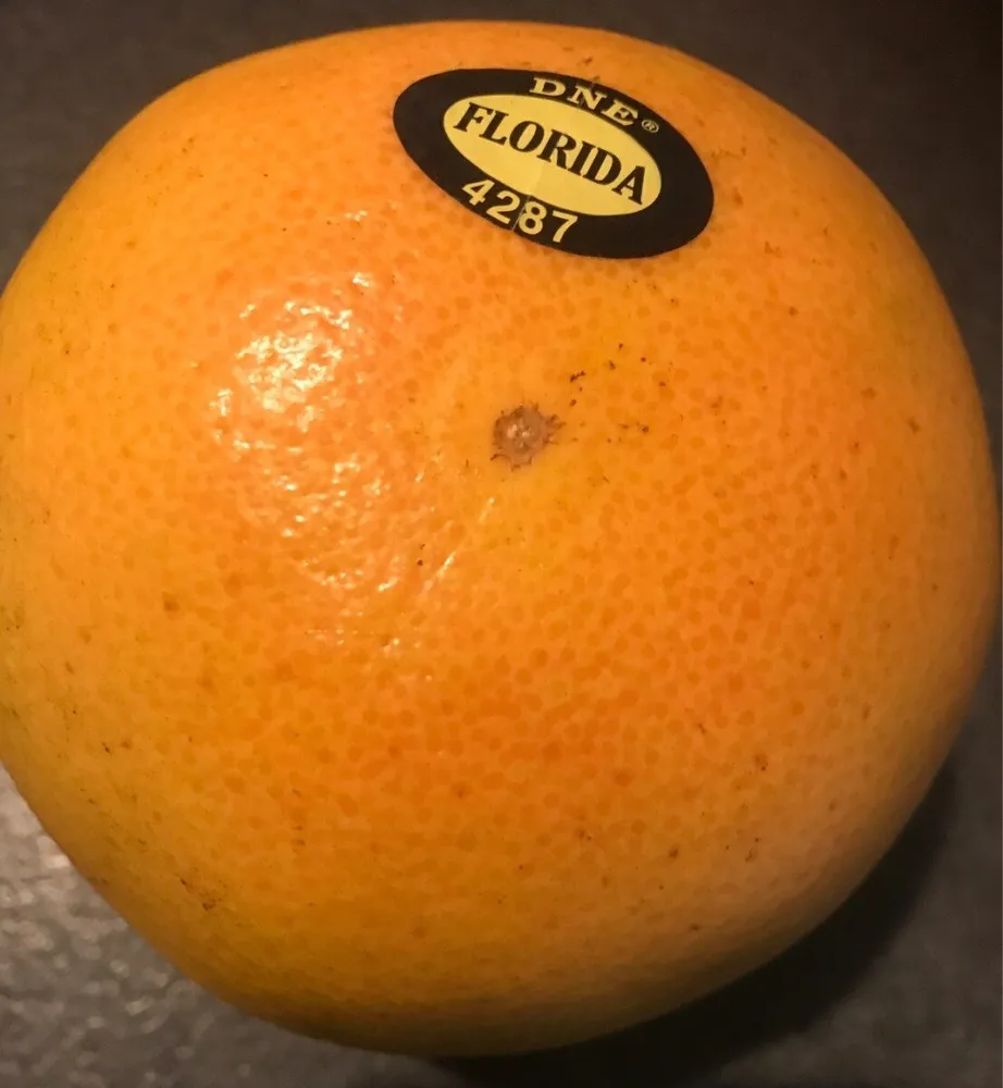 Pomelo Floride