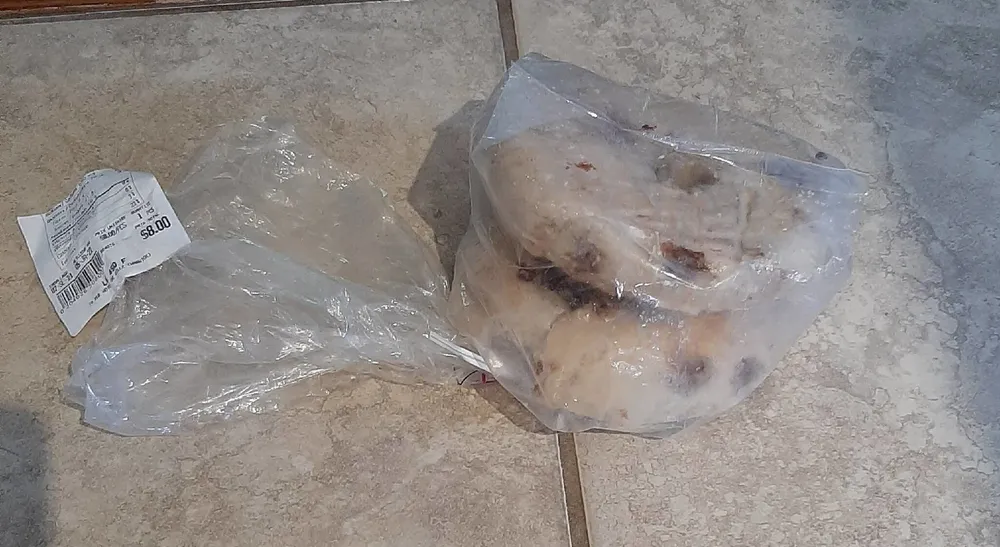 Bagel
