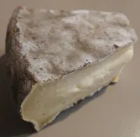 Fromage saint Nectaire Fermier Morin