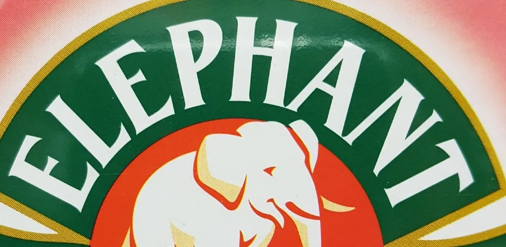 Ewan l'elephant