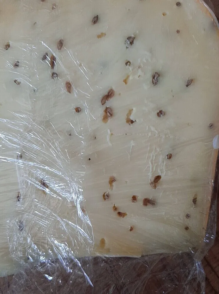Gouda hollande Igp jne Cumin