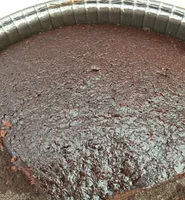 Moelleux chocolat 6/8P decongele