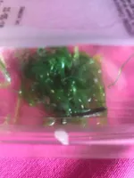 Salade wakame