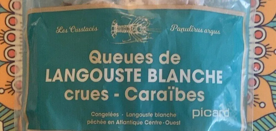 Queued de langouste blanche crues caraïbes