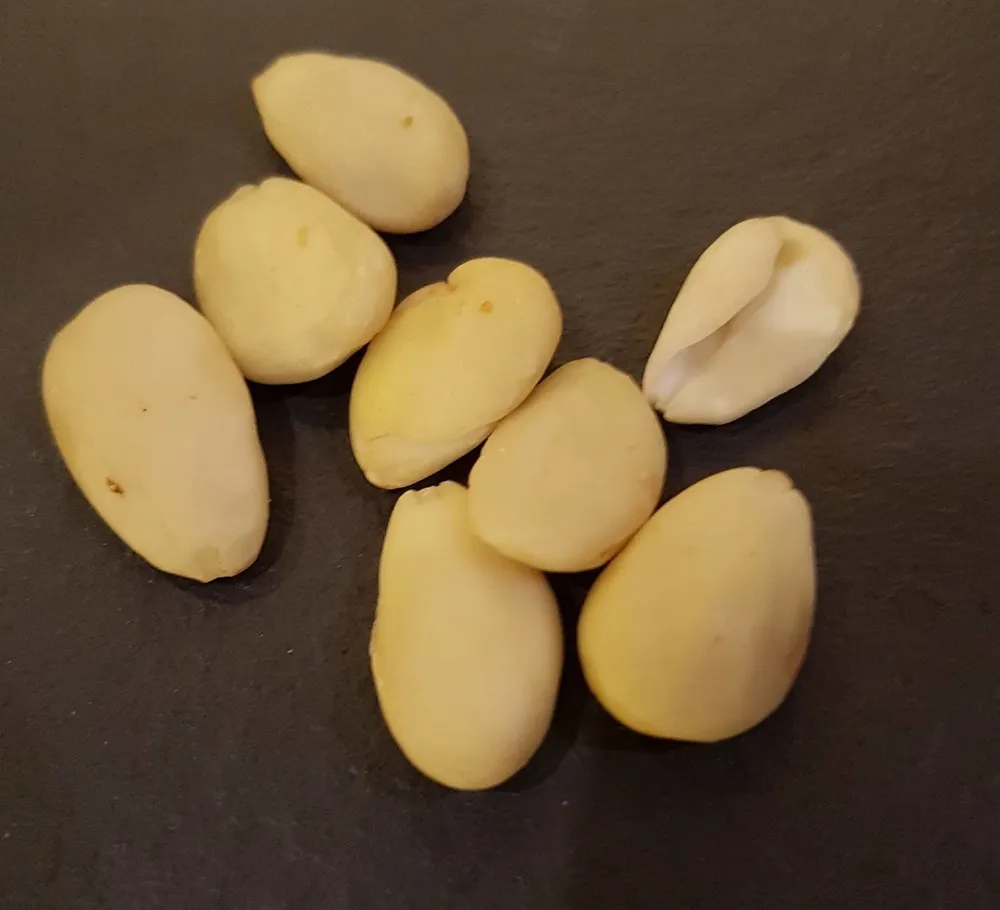 Amandes émondées bio