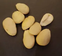 Amandes émondées bio