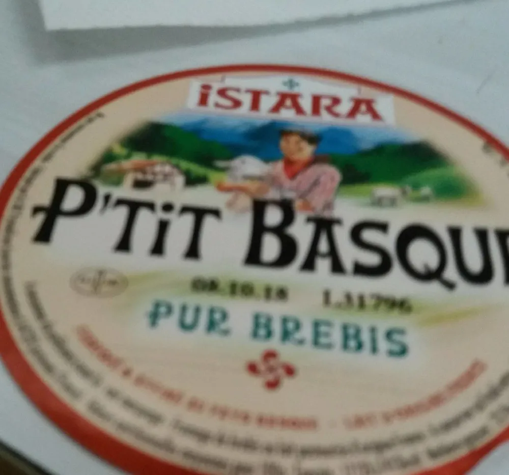 Petit basque pur brebis