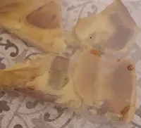 Tarte pomme rhubarbe
