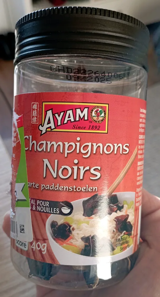 champignons noors