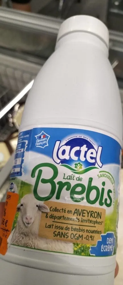 Lait de brebis