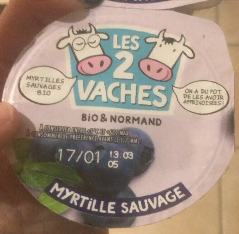 Myrtille sauvage