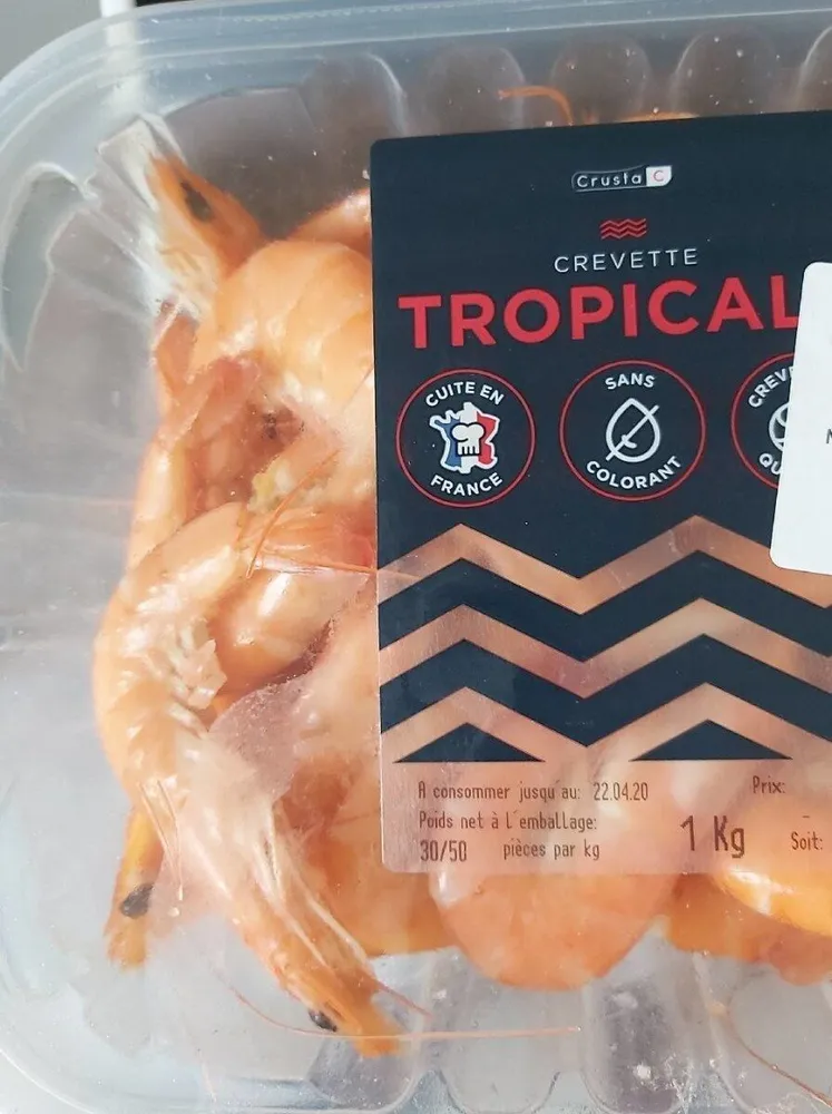 Crevette tropical