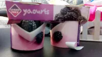 Yogourt mûres