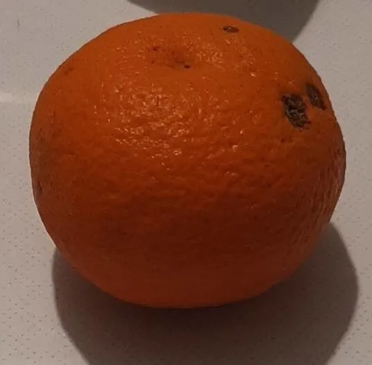 Clémentine