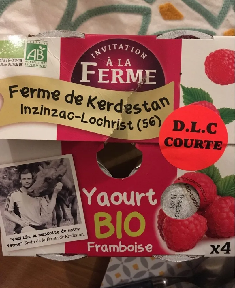 Yaourt Bio Framboise