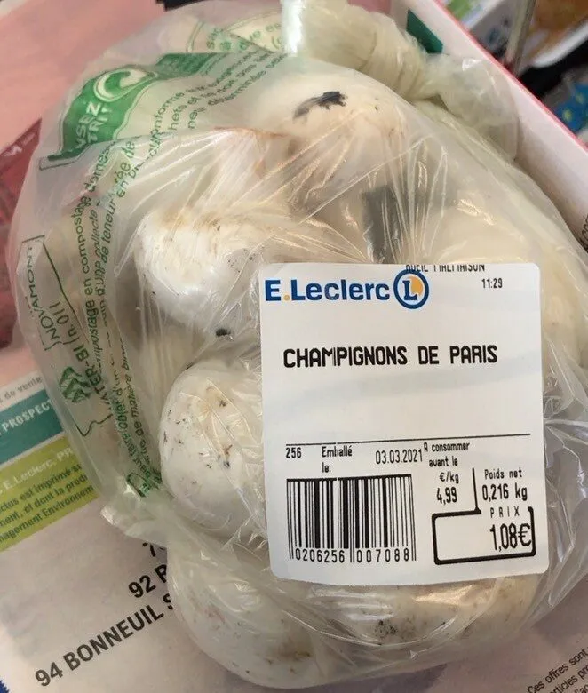Champignion de paris