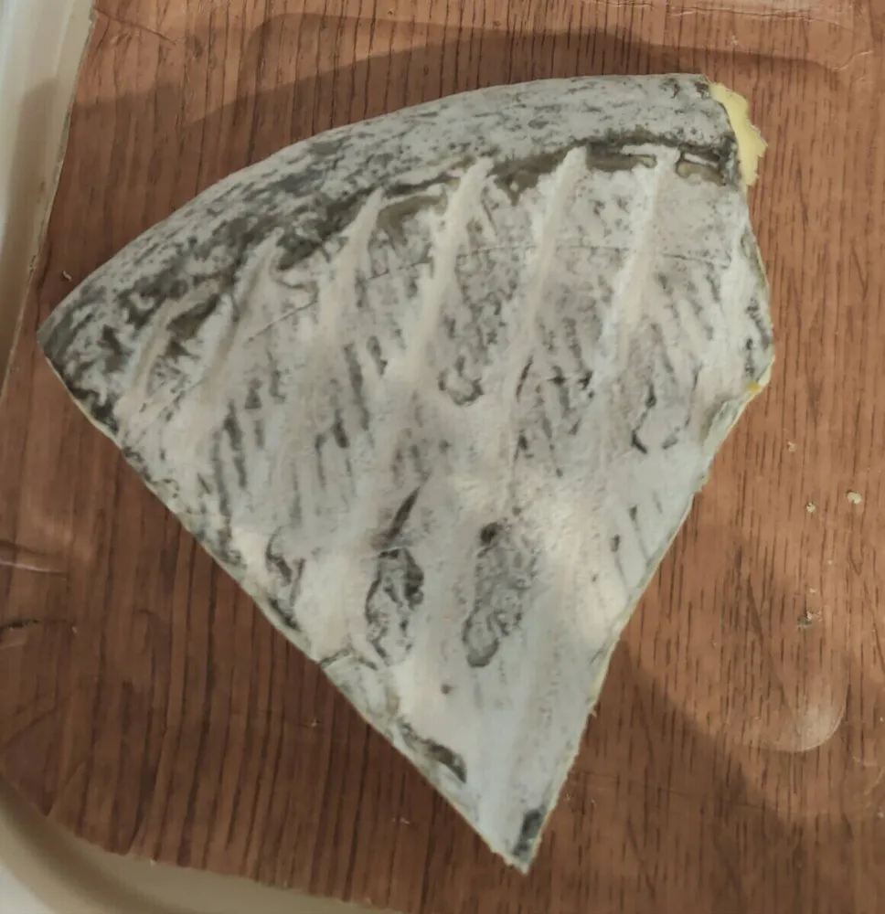 Gris du Périgord