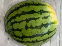 Pasteque