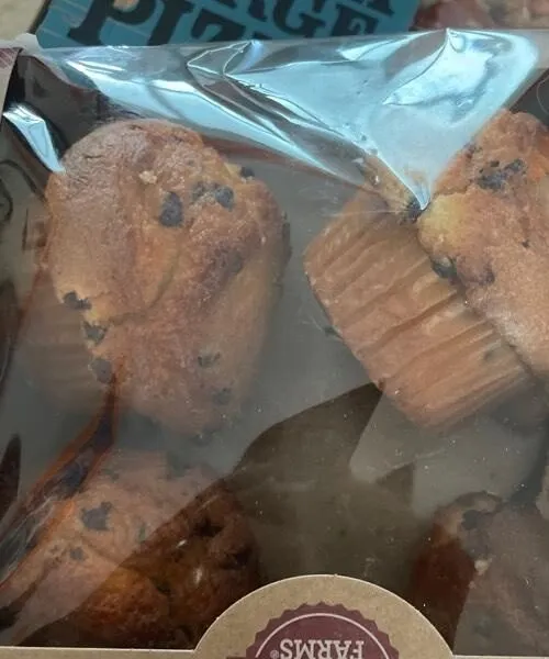 Chocolate chip muffin