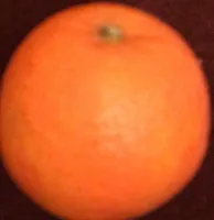 Clémentine
