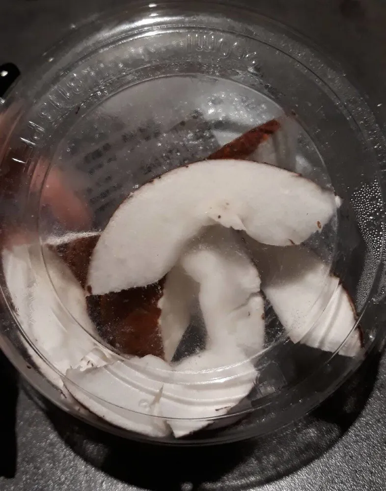 Noix de coco en morceaux