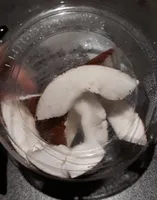 Noix de coco en morceaux