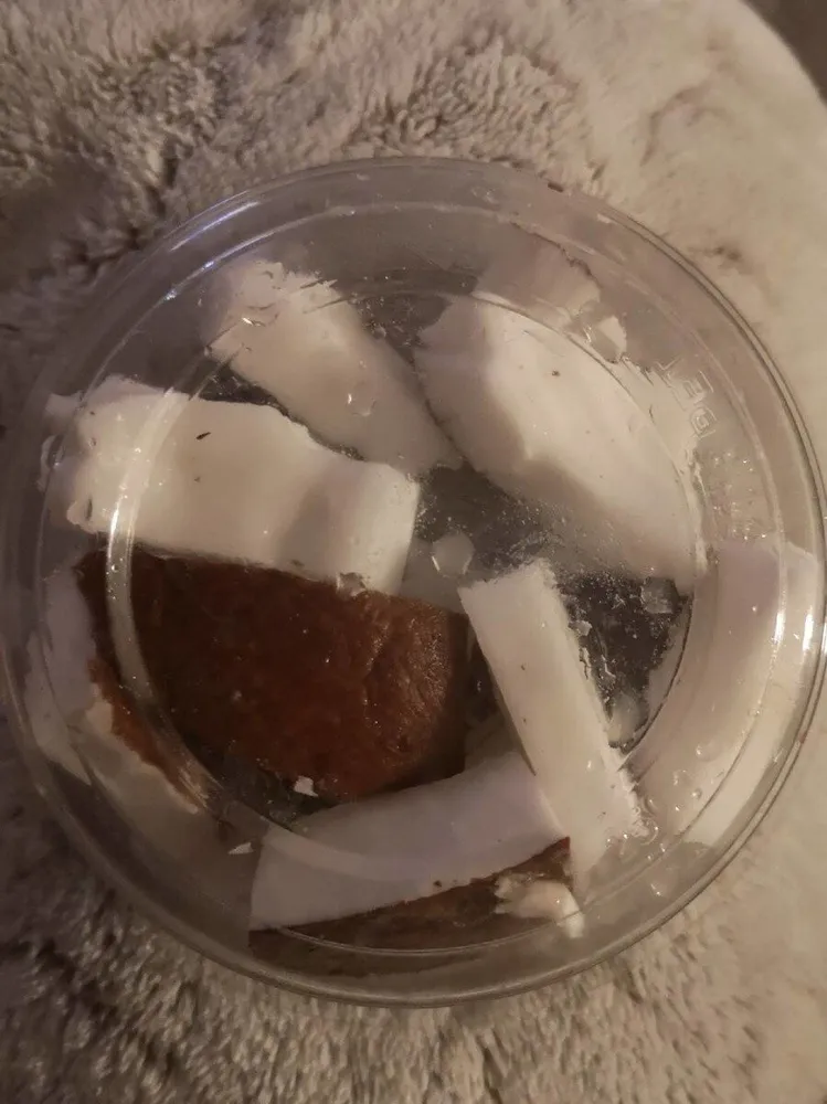 Noix de coco en morceaux