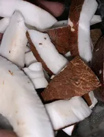 Noix de coco en morceaux