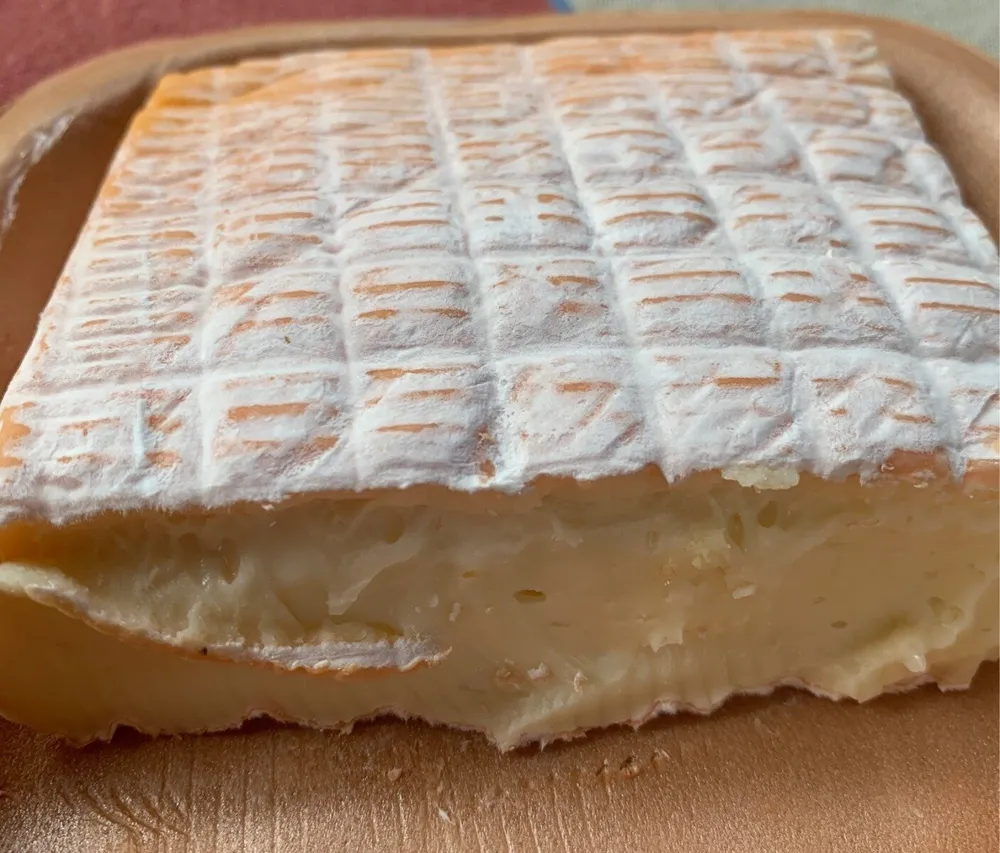 Vieux pané