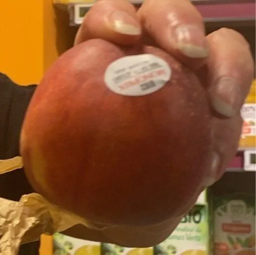 Pêche