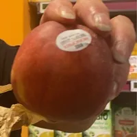 Pêche