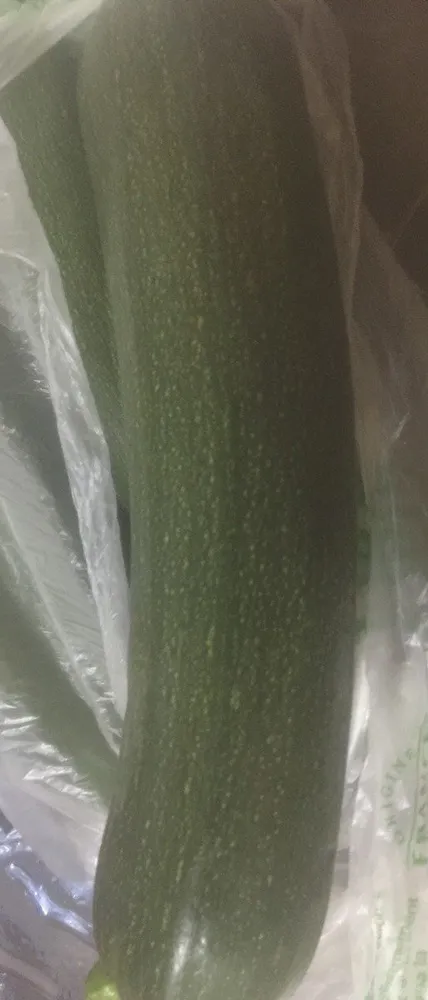 Courgette