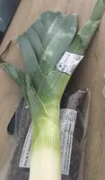 Poireau vrac