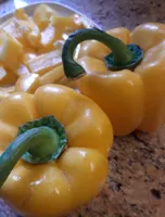 Poivron Jaune