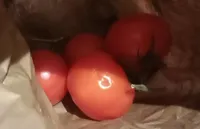 Tomate