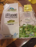 Lattughino