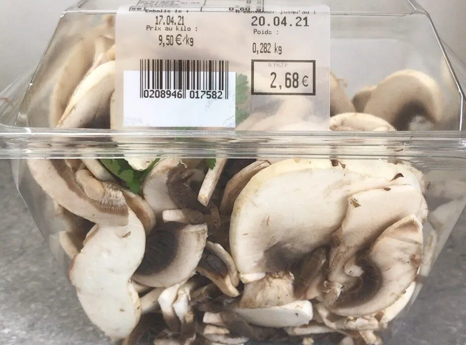 Champignons lamelles
