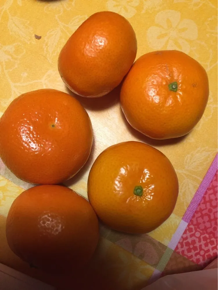 Mandarine