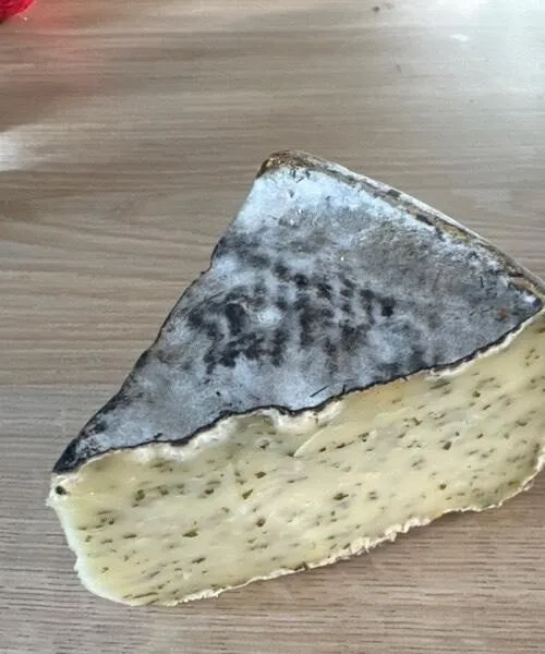 Tomme à l’ail des ours