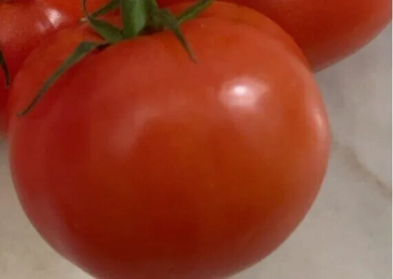 Tomate grappe