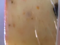 Fromage des delices mediterranneen