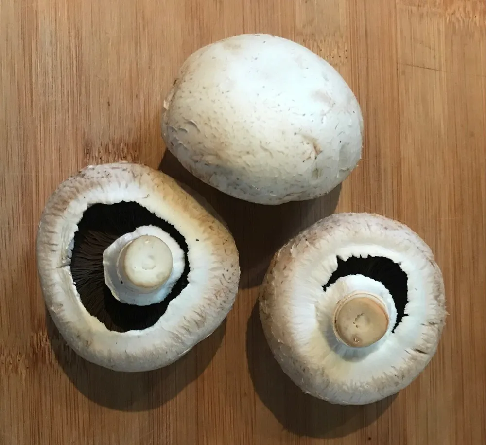 Champignon blanc vrac