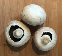Champignon blanc vrac
